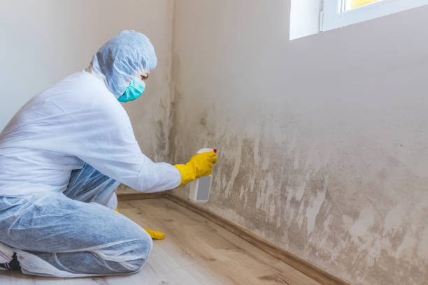 Licensed Crawl Space Mold Remediation service in Burlington, NC - Car Mold Remediation