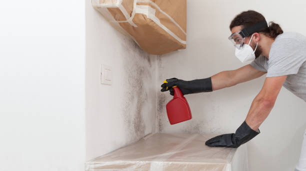 Professional Crawl Space Mold Remediation technician working in Burlington, NC