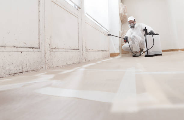 24/7 Emergency Crawl Space Mold Remediation experts in Burlington, NC