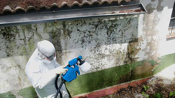 Top rated local Crawl Space Mold Remediation specialists in Burlington, NC